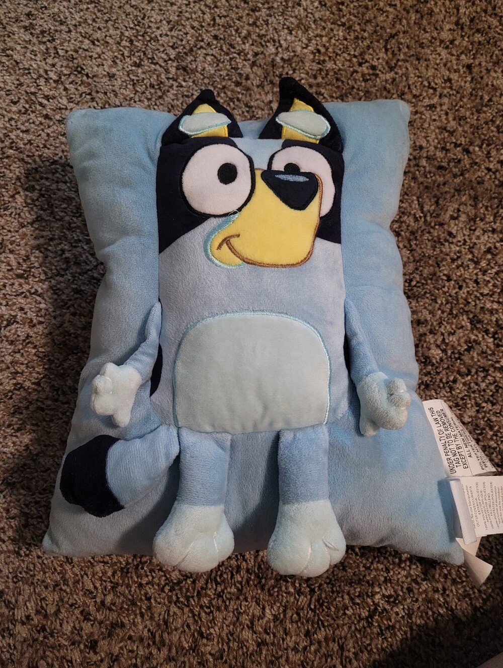 Bluey Pillow